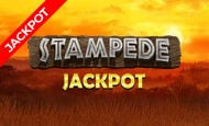 Stampede Jackpot